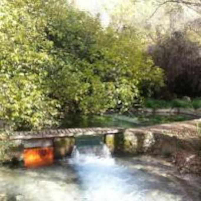 Cazorla-Alcon, Casa Hoya Don Gaspar Pozo Alcón Kültér fotó