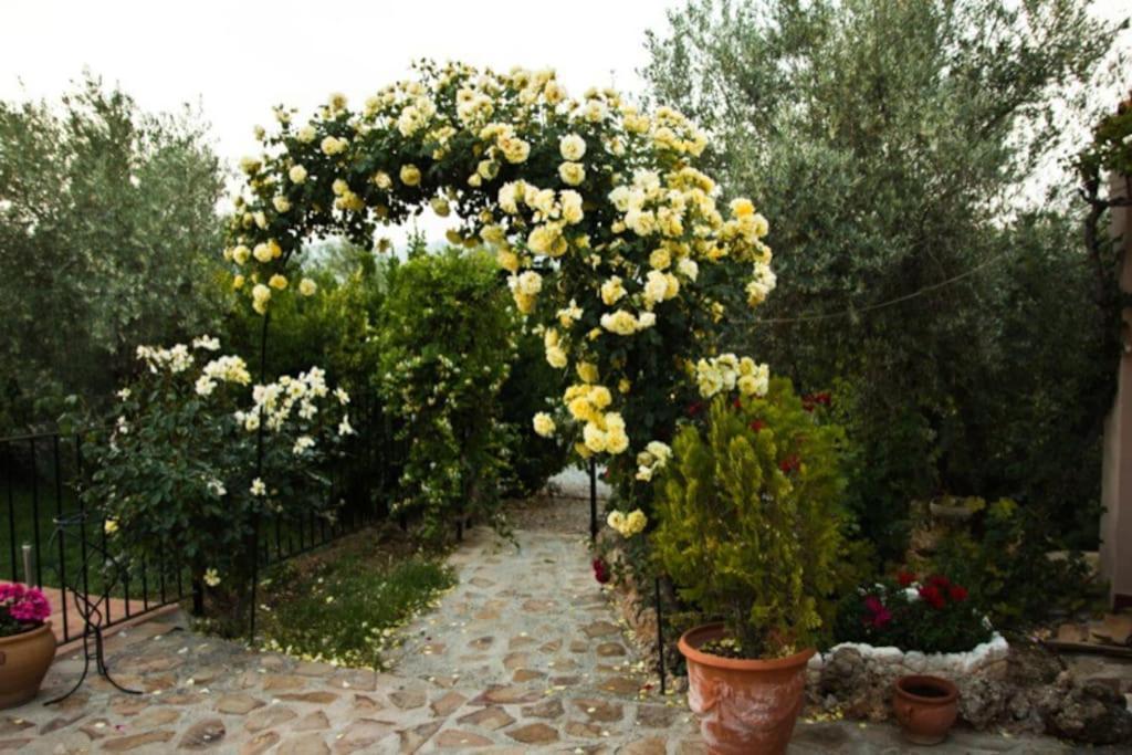 Cazorla-Alcon, Casa Hoya Don Gaspar Pozo Alcón Kültér fotó
