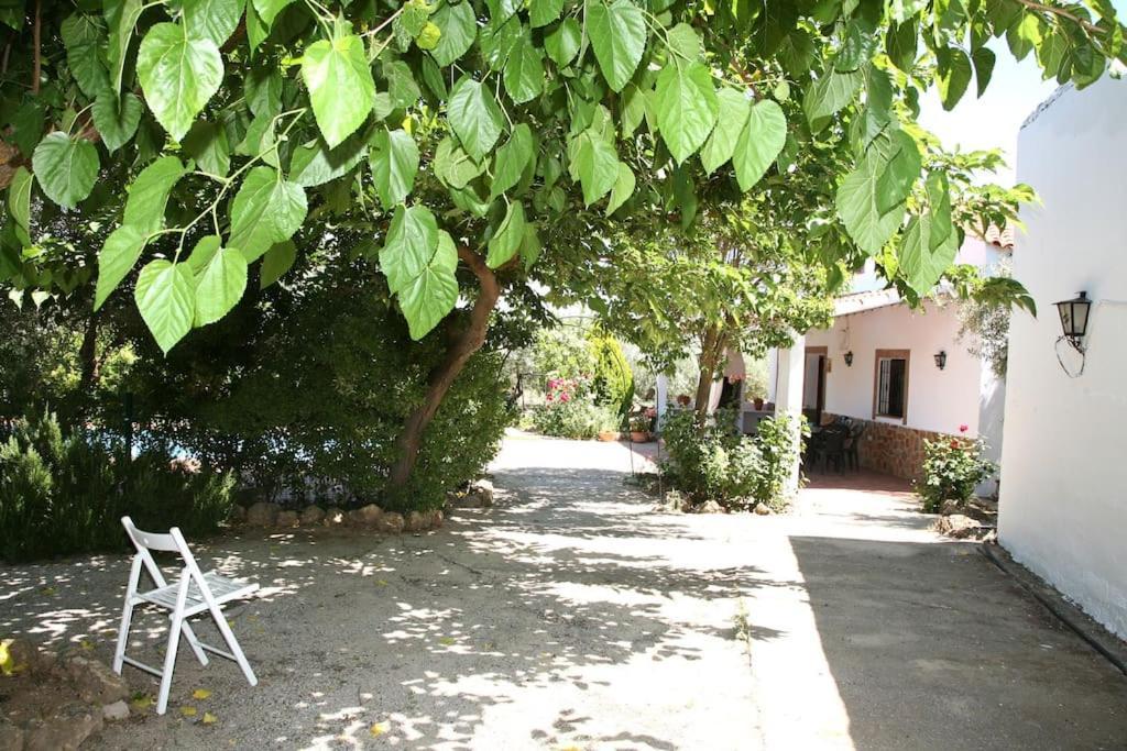 Cazorla-Alcon, Casa Hoya Don Gaspar Pozo Alcón Kültér fotó